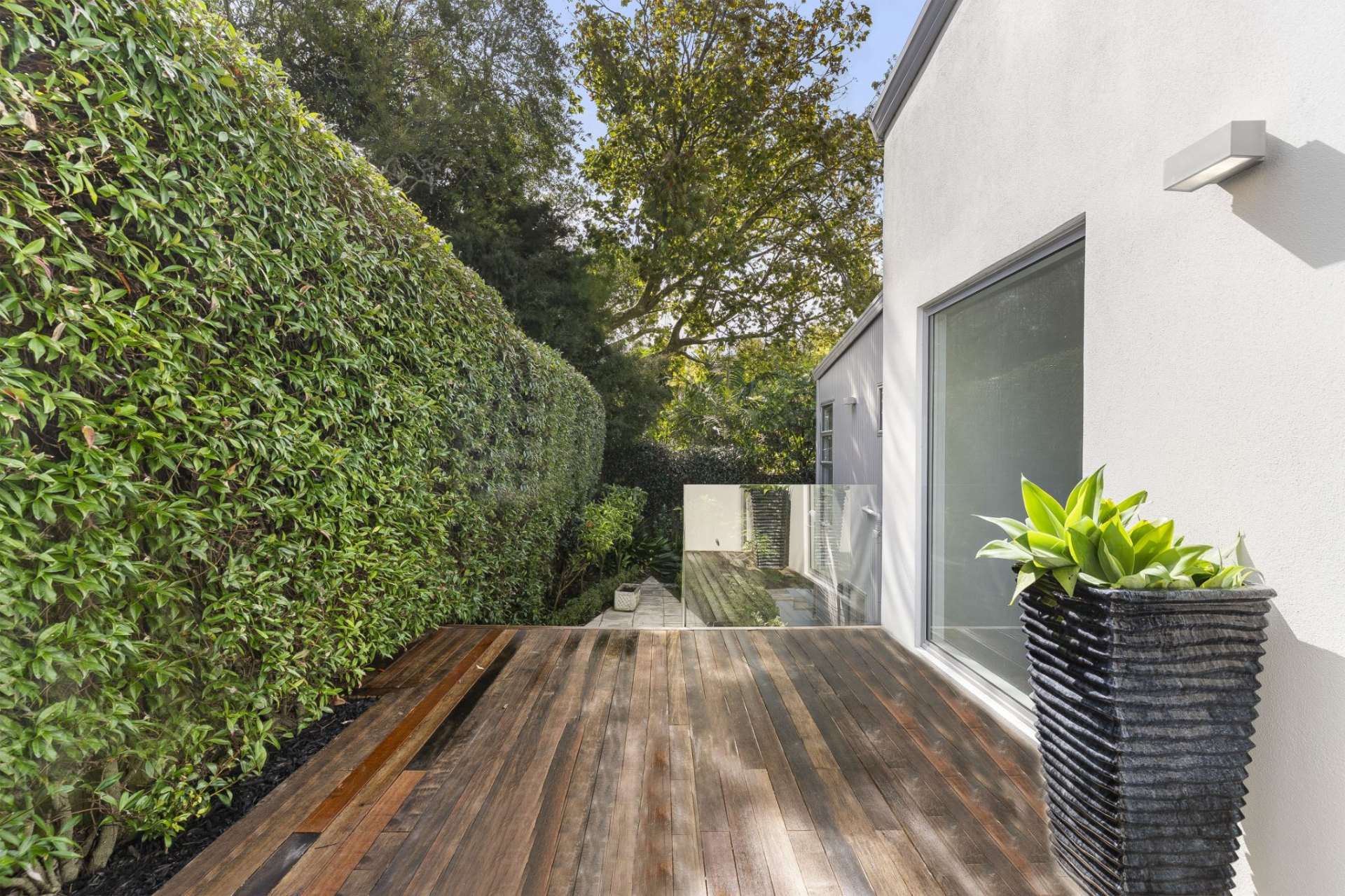 Trimmed deck-side hedge