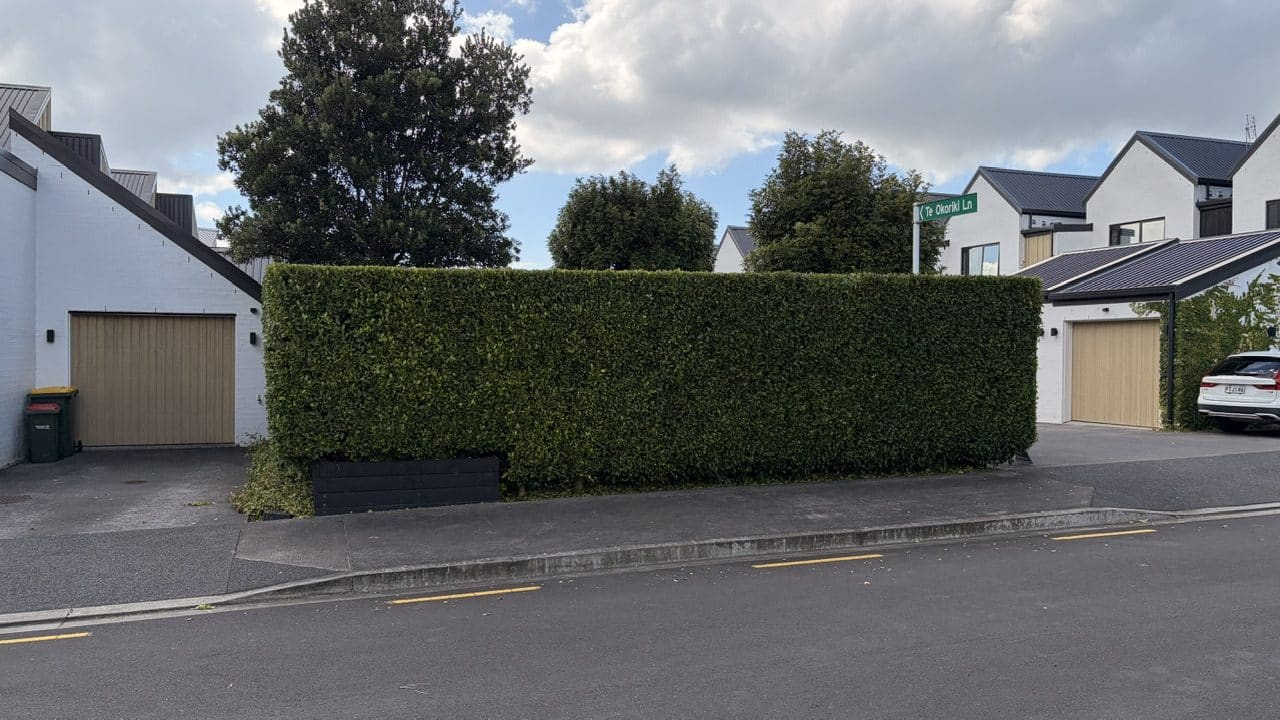 Healthy hedge plants ready for supply and planting in Auckland