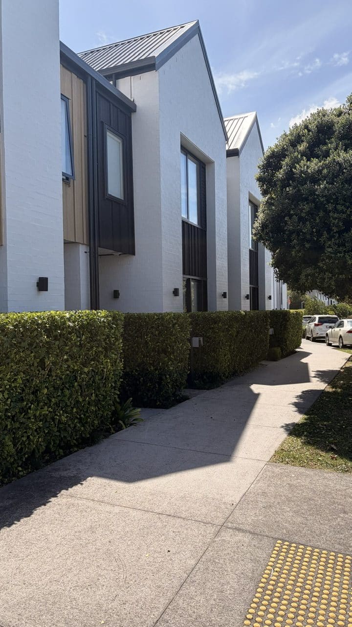 Professionally trimmed Auckland hedge framing a tidy front garden
